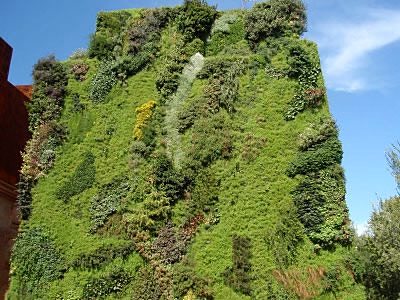 Trabajo de Tecnonatura Garden Solutions en Torrelodones