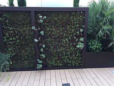 Trabajo de Tecnonatura Garden Solutions en Torrelodones