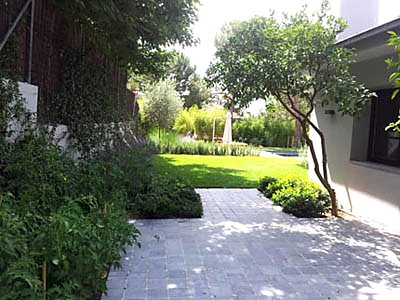 Trabajo de Tecnonatura Garden Solutions en Torrelodones
